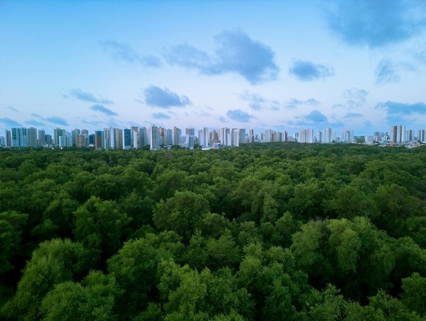 Quels sont les avantages de choisir des campings étoilés à Hyeres?