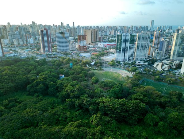 Éducateur canin en meurthe-et-moselle : conseils et formation