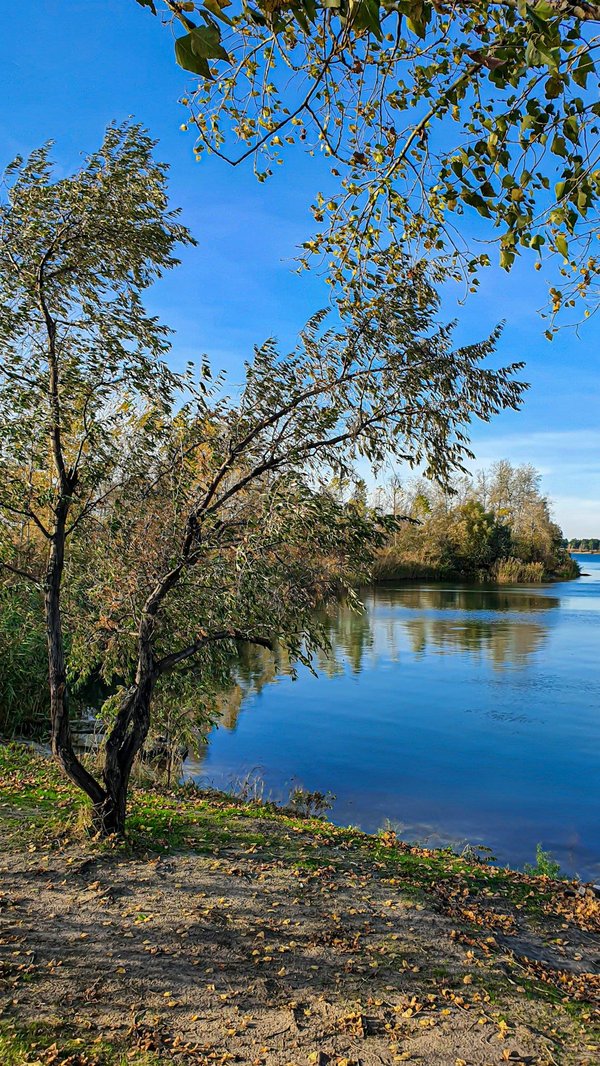 Aquaman et ses créatures marines : une figurine aquatique